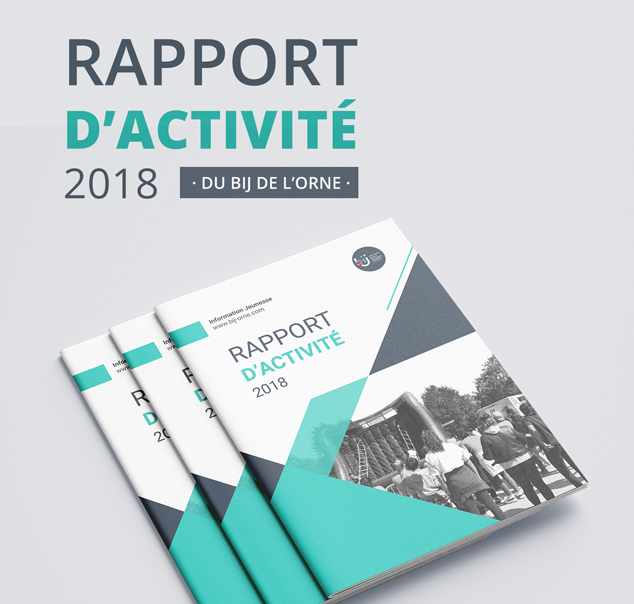 Rapport d'activité - BIJ de l'Orne